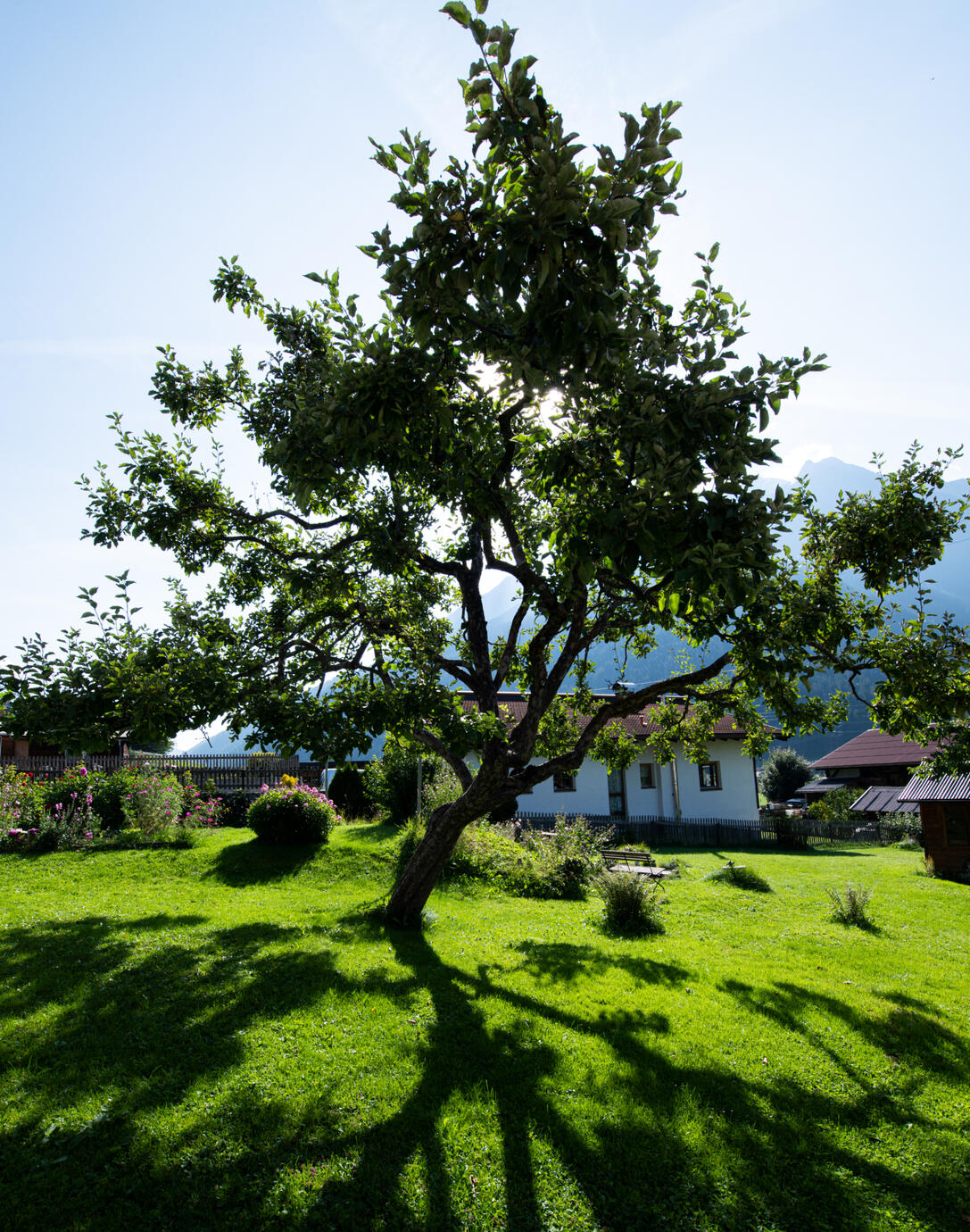 WesenskernArlberg Eidgenössisch zertifizierter Stress-Coach